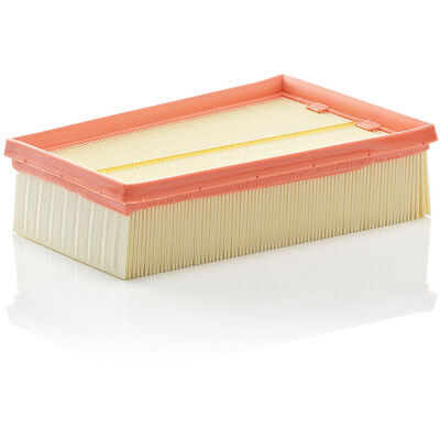 MANN-FILTER Filtre à air C 2433/2