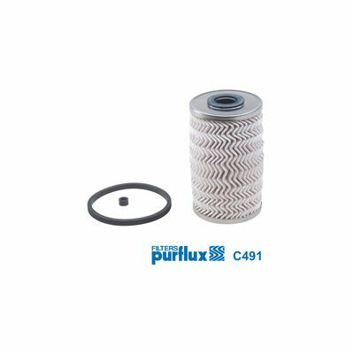 PURFLUX Filtre à Carburant C491