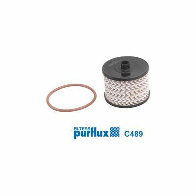 PURFLUX Filtre à Carburant C489