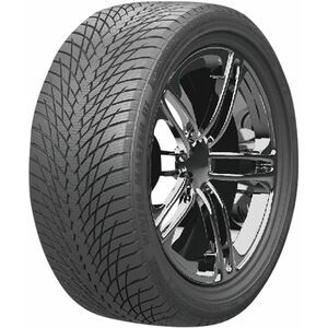 Greentrac Winter Master D1 205/55 R16 91H