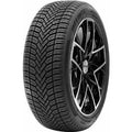 Delinte AW6 205/55 R16 91V