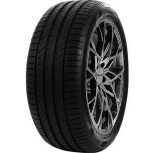 Delinte DS2 205/55 ZR16 94W