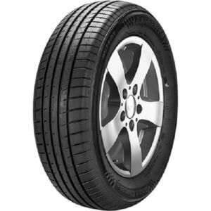 Autogreen SmartChaser SC1 205/55 R16 91V