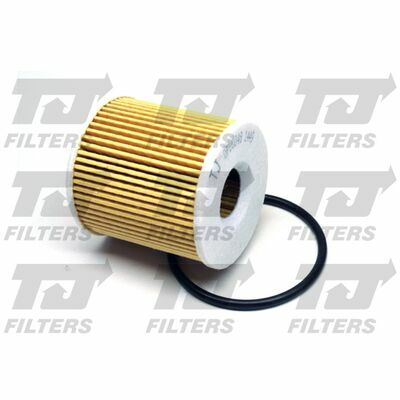 QUINTON HAZELL TJ Filters Filtre à Huile QFL0048