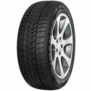 Minerva Frostrack UHP 205/55 R16 91H