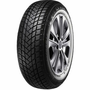 GT-Radial Winterpro 2 EVO 205/55 R16 91H