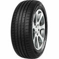 Minerva F209 205/55 R16 91V