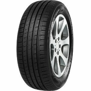 Minerva F209 205/55 R16 94V