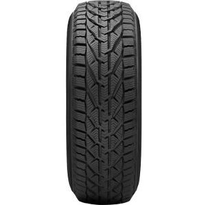 Riken Snow 205/55 R16 91T